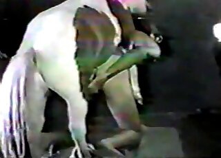 Filthy zoophile bitch doesn't mind being fucked hard by a horse