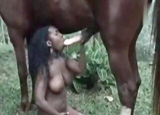 Curvy ebony slut performs a passionate blowjob to a horse