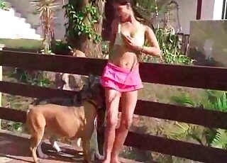 Naked chick tries to seduce two dogs by undressing in front of them