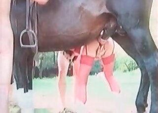 Zoophile whore in red stockings plays with an erected shaft of a horse