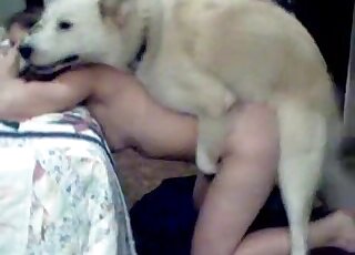 White husky jumps on a horny chick and start fucking her from behind