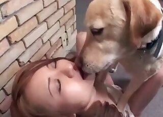 Japanese AV slut seduces her dog to start licking her naked body