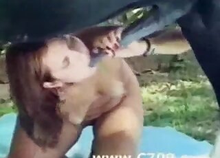 Brunette zoophile chick takes massive cock of a horse deep in her mouth