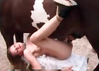Slender zoophile chick spreads her legs and lets big horse fuck that pussy