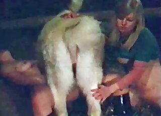 Two zoophile sluts make out with a horse and suck its huge pecker