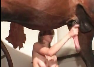 Skinny zoophile bitch gets a huge horse dick to play with in stables