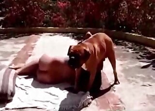 Big red cock of a dog arouses horny zoophile bitch for a blowjob