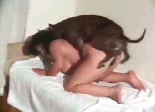 Hairy cunt of a bitch gets banged hard by an aroused dog in zoo porn