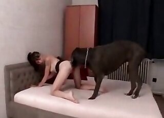 Pasty babe lets a dog eat her pussy in a zoophilic cunnilingus movie