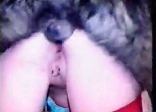 Furry animal fucking a hottie in red stockings in a compilation vid