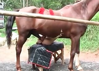 Horse penis used for pleasure in a hardcore assfuck scene here