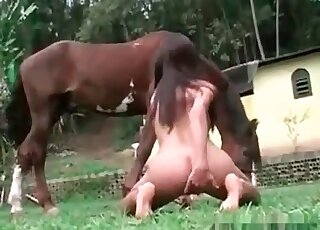 Firm-assed Latino lady offers this horse a perfect view of her twat