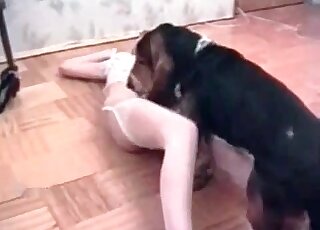 Naughty whore seduces a dog to fuck her right on the floor