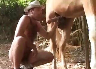 Horny man in a cowboy hat finds a big horse cock that looks suckable
