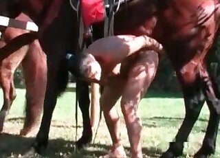 Grunting brunette bends over to let this horse fuck her tight twat