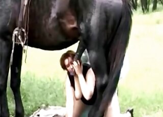 Busty mom gets pounded while giving a blowjob to a stallion