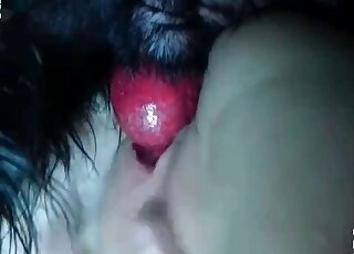 Wild zoo slut in a mask banged by a dog in a closeup scene