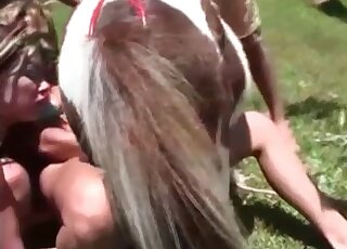 Bitchy hottie wanks pony’s cock and shoves it in her pussy
