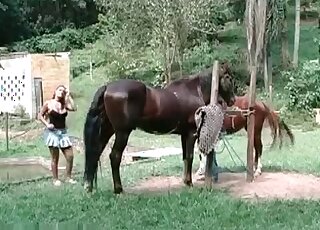 Cutie gets orgasmic pleasure while sucking and riding stallion’s cock