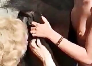 Nasty bitch fingers and fists a horse’s ashsole in a wild zoo scene