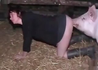 Amateur Homemade Fuck Pig - Pig Videos / farm bestiality porn / Most popular Page 1