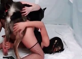 Lesbians show their cunts to the dog and get screwed in a XXX scene