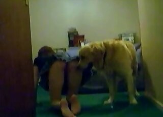 Bitch tempts her dog indoors and gets pounded in a doggystyle