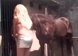 Skinny blonde seduces a horse and starts playing with its cock