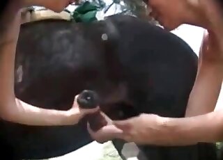 Two whores gladly share one massive dick of a horse during blowjob