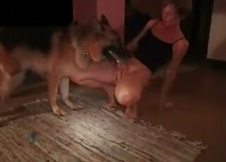 Nude chick tries to tempt her dog in a cool XXX zoo porn scene