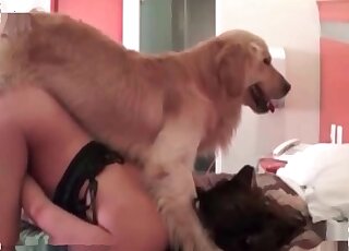 Crazy wife gets her hairy beaver fucked by a dog in zoophilia video