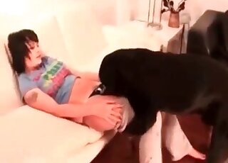 Trained canine fucks juicy cunt of a brunette wife pretty well