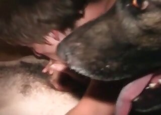 Trained dog joins a nast gangbang party of zoophiles in a XXX video