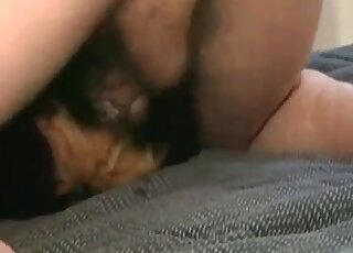 Wild dude inserts his hairy dick in his dog’s hole giving a crazy fuck