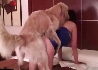 Luscious chick enjoys the presence of her dog’s dick in her snatch