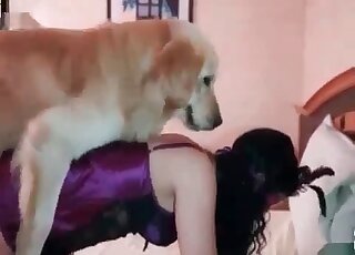 Dog goes wild with a naughty housewife fucking her twat ardently