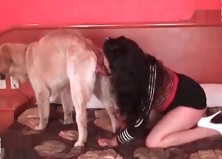 Amazing zoo blowjob given by mature chick to a canine in XXX vid