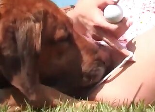 Wife spreads thighs outdoors to let her dog eat her horny pink twat