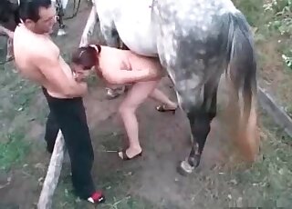 Guy makes his wife suck and ride stallion’s dick before his eyes
