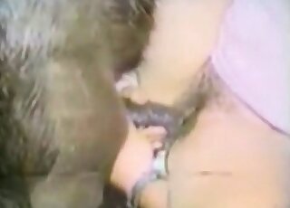 Kinky female slut gets stuffed by animal’s cock in a retro zoo video