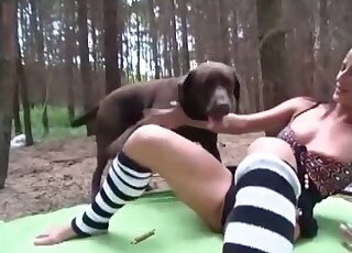 Dog licks shaved cunt of a cute wife helps her to achieve orgasm