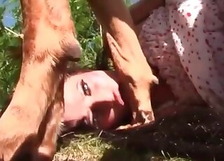 Huge canine makes a zoophile slut endure its massive pecker