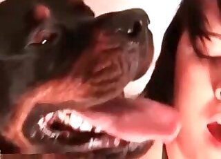 Chick craves for her dog’s big cock and takes it in her filthy mouth