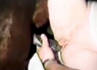 Chick enjoys rough zoo sex with a horse before horny voyeurs’ eyes