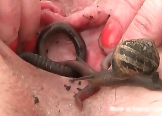 Insane slut loves fucking with worms and insects in a zoo porn action