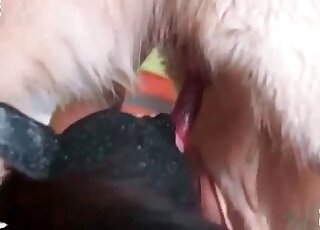 Hot vixen in a mask cannot stop riding and sucking a canine’s pink cock