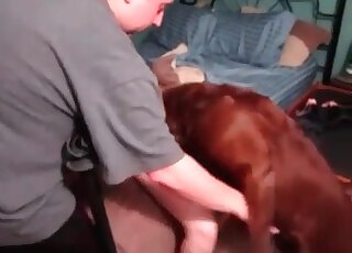 Cock-starved slut enjoys every inch of her dog’s hard pecker