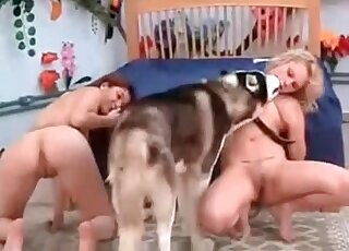 Two whores seduce a husky for sex at home on the floor