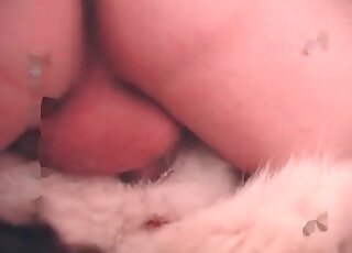 Nasty zoophile guy fucks his dog in the bedroom in a zoo porn video