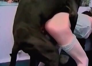 Massive black dog likes fucking tight holes of a cute hottie